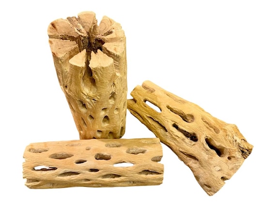 Ruote A Motore Elettriche Ossidano L'acqua In Un Serbatoio Di Pesci E Gamberetti Indonesia Allevamento Artificiale Animali Marini 163742118 - Foto 9