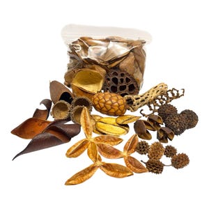 May include: A collection of dried botanicals, including seed pods, leaves, and pine cones, in shades of brown, tan, and yellow. Some items are in a clear plastic bag, while others are scattered around. Perfect for potpourri or craft projects.