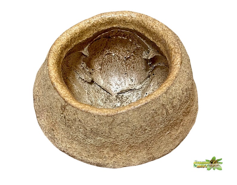 May include: A light brown ceramic reptile water bowl with a rough textured exterior and a smooth, rounded interior.