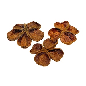 May include: Three dried star anise pods, each with a star-like shape and a rich brown color. The pods are arranged on a white background, showcasing their natural texture and form. These are commonly used in cooking.