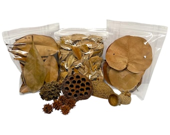 Deluxe Isopod Starter Kit - Isopod / Botanicals / Bioactive / Springtails / Terrarium / Roly Poly
