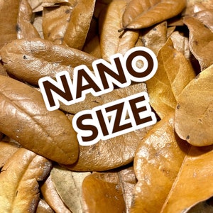 Live Oak Leaf Litter - Nano Size