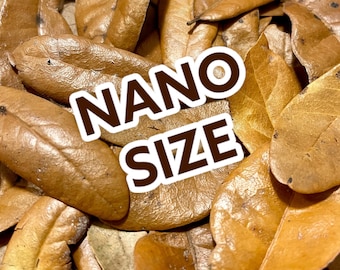 Live Oak Leaf Litter - Nano Portion / BioActive / Botanicals / Reptiles / Isopods