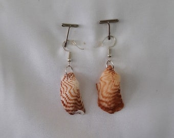 shell Earrings