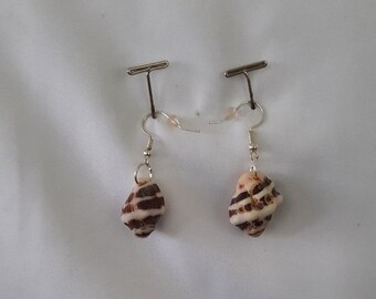 Shell Earrings