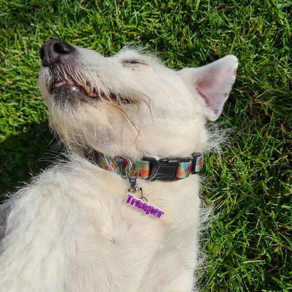 3D Printed Pet ID Tag: Personalized Dog/Cat Name Tag