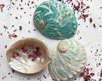 Small abalone shell, housewarming gift tools  ,White Sage Smudge holder.