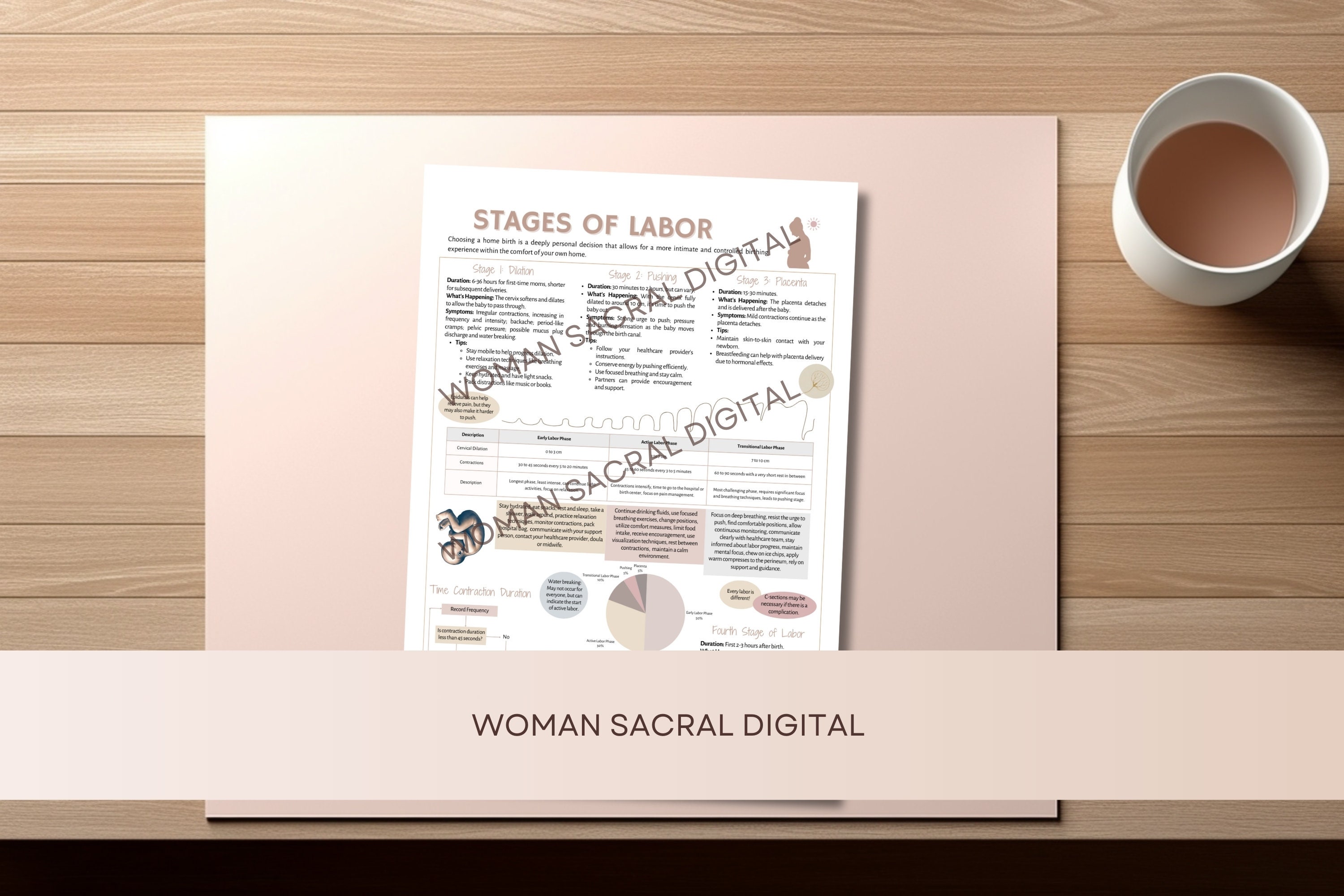 Stages of Labor Guide Editable Digital Poster for Doulas & Midwives