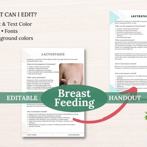 Breastfeeding Support: Digital Handout (lactostasis, Breastfeeding ...