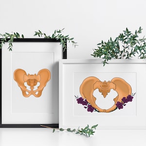 Pelvis Art Posters, Set of 2 Floral pelvis anatomical digital print, Pelvis png illustrations, Human anatomy with flowers, Medical wall art