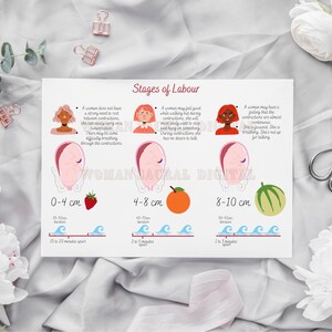Stadien der Arbeit und Entbindung Poster und Geburtsstadien Karten. Geburtserziehung Handout für Geburtshelfer, Hebammen und Doulas. Druckbar Bild 7