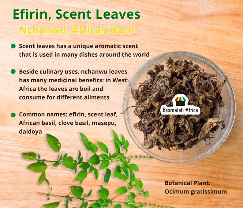 Dried Nchanwu Leaves Scent Leaf Nunum Dried Scent Leaves Etsy