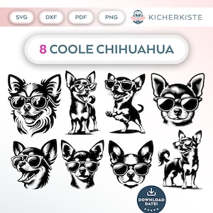Op de afbeelding: Acht zwart-wit illustraties van Chihuahua-honden die een zonnebril dragen. De honden staan in verschillende poses, waaronder zittend, staand en naar de zijkant kijkend. De tekst "8 COOLE CHIHUAHUA" staat bovenaan de afbeelding.
