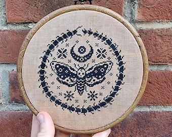 Moth and Centipede