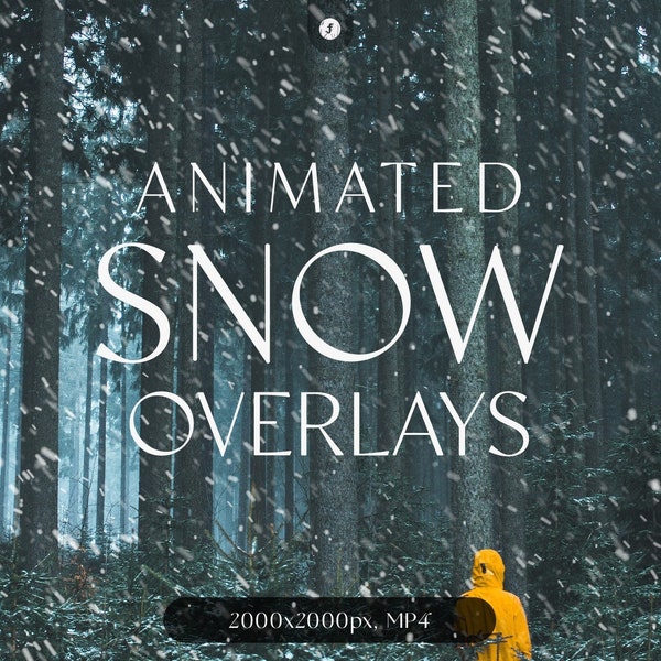 10 Animated Falling Snow Overlays | Animated Snow, Falling Snow Overlay, Photoshop Snow, Snow Animation, Christmas Overlays, Twitch Overlay