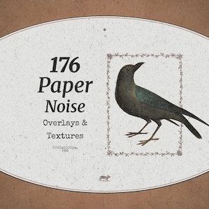 Paper Noise Overlays and Textures, Photo Overlay for Photoshop, Dust and Scratches, Imperfections Effect, Paper Grain, Digital Download