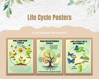 Pollination, Life Cycles & Photosynthesis