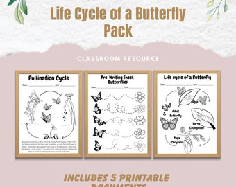 Butterfly - Pollination & Life Cycle Worksheets