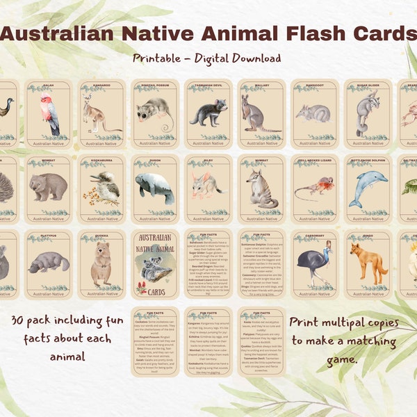 Australian Native Animal Flash cards and Memory game