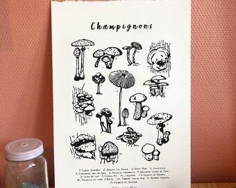 Hongos en linóleo - Póster de historia natural - Impresión manual. Hongos en linóleo - Póster de historia natural