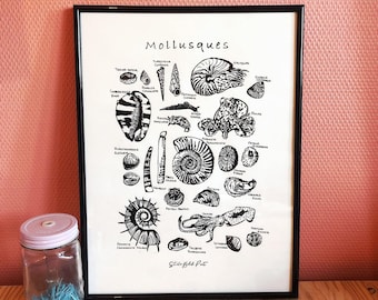 Moluscos en linóleo - Póster de historia natural - Impresión manual. Moluscos en linóleo - Póster de historia natural