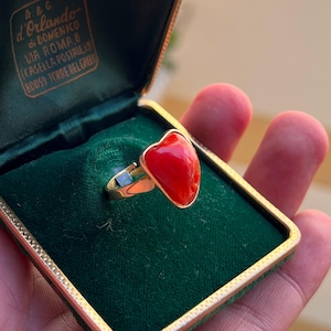 Puede incluir: Un anillo de oro con una piedra de coral rojo brillante, pulida e irregular, montada en una banda de metal sencilla. El anillo se presenta dentro de un joyero forrado de terciopelo verde oscuro con borde dorado y texto impreso.