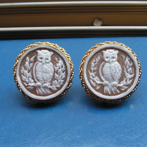 May include: A pair of gold-tone earrings with a white cameo of an owl on each. The owls are carved in detail and have a brown background.