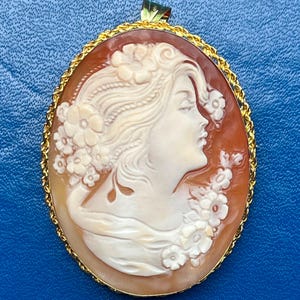 May include: An oval cameo pendant depicting a woman's profile, adorned with flowers and flowing hair. The cameo is set in a gold-tone frame with a rope-style edge. The background is a warm, reddish-brown colour.