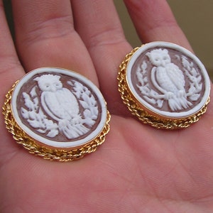 May include: A pair of gold tone earrings with a brown and white cameo of an owl. The owl is carved in detail and has a white body and brown wings. The earrings are round and have a gold chain border.