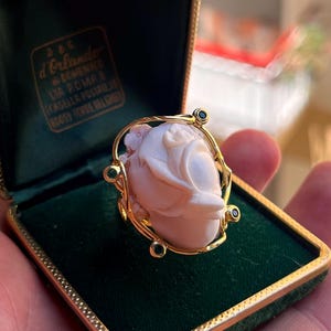 Puede incluir: Un anillo de oro con un camafeo floral tallado en color rosa pálido. El engaste está acentuado con pequeñas piedras preciosas circulares oscuras colocadas a intervalos a lo largo del delicado marco de alambre de oro curvo que rodea la talla central.