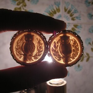 May include: Two gold-toned metal brooches with a cameo design featuring an owl in a wreath. The owls are carved in a light brown color.