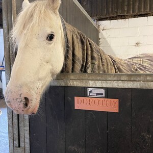 Stable sign 3D Printed to order