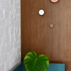 Peut inclure: Une plante verte à feuilles dans un vase en verre transparent repose sur une surface bleu sarcelle. Le mur derrière la plante est un mélange de briques blanches et de bois brun. Trois crochets muraux décoratifs ronds sont fixés au mur en bois. Les crochets sont blancs, roses et bruns.