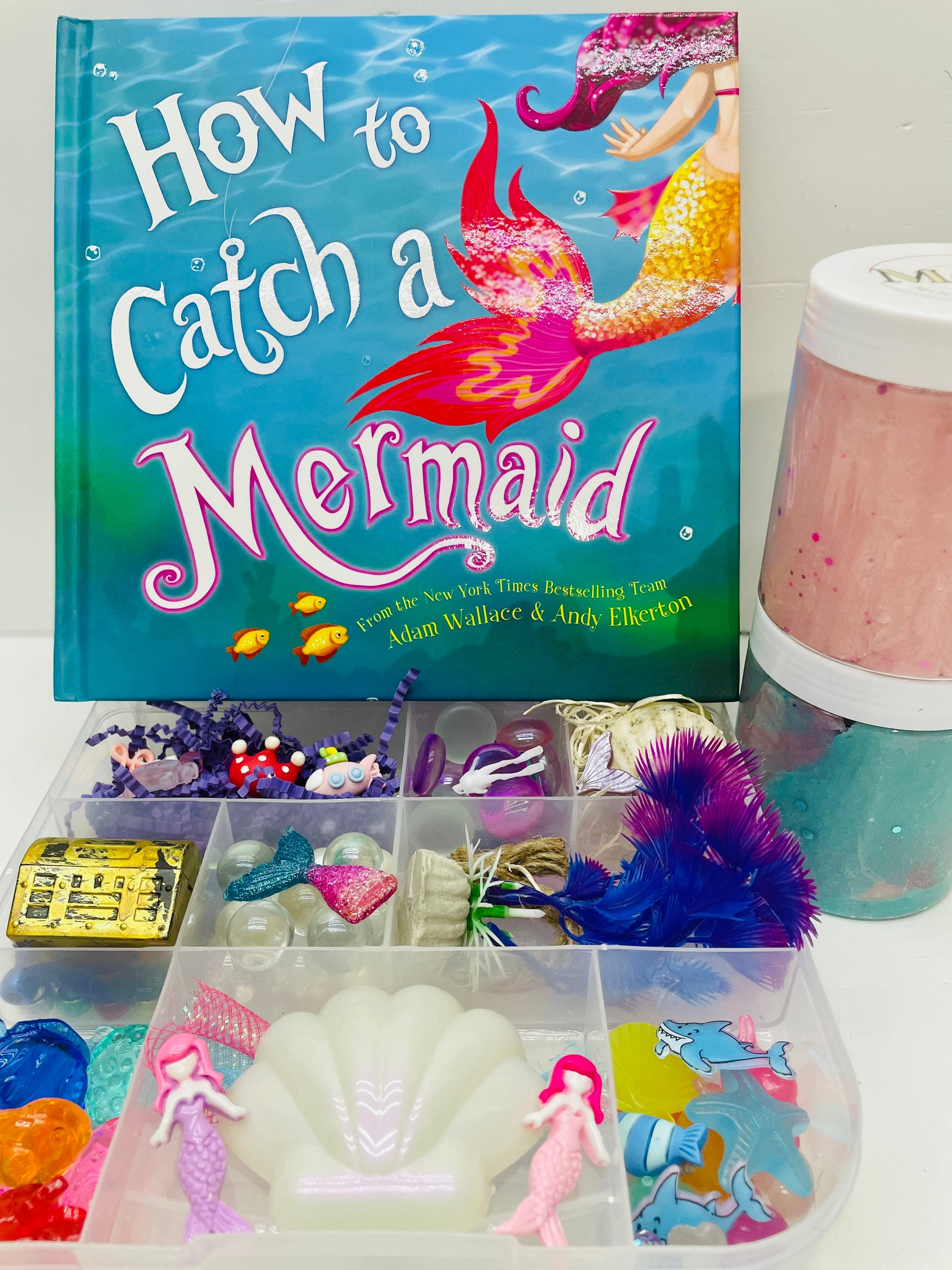 How to Catch a Mermaid Craft!