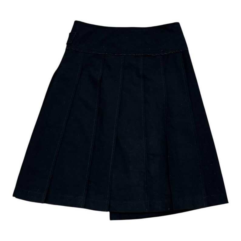 May include: A black skirt with a pleated design. The skirt has a fitted waistband and a knee-length hemline. Vertical stitching details run down the front of the skirt.