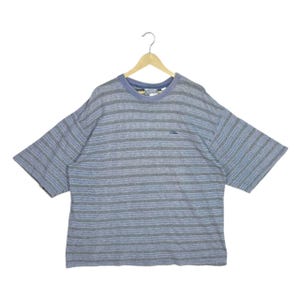 May include: A short-sleeved, striped t-shirt in shades of gray and blue, hanging on a wooden hanger. The shirt features a crew neck with a blue collar and a small logo on the chest. The horizontal stripes create a casual, relaxed look.