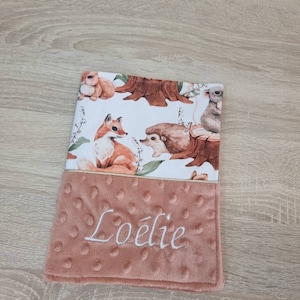 Protege carnet de santé