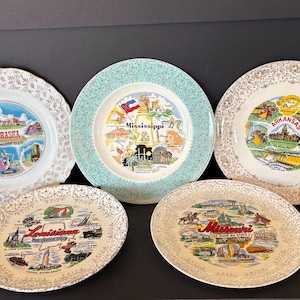 Vintage State Souvenir Plate with Floral Rim - Sold Individually