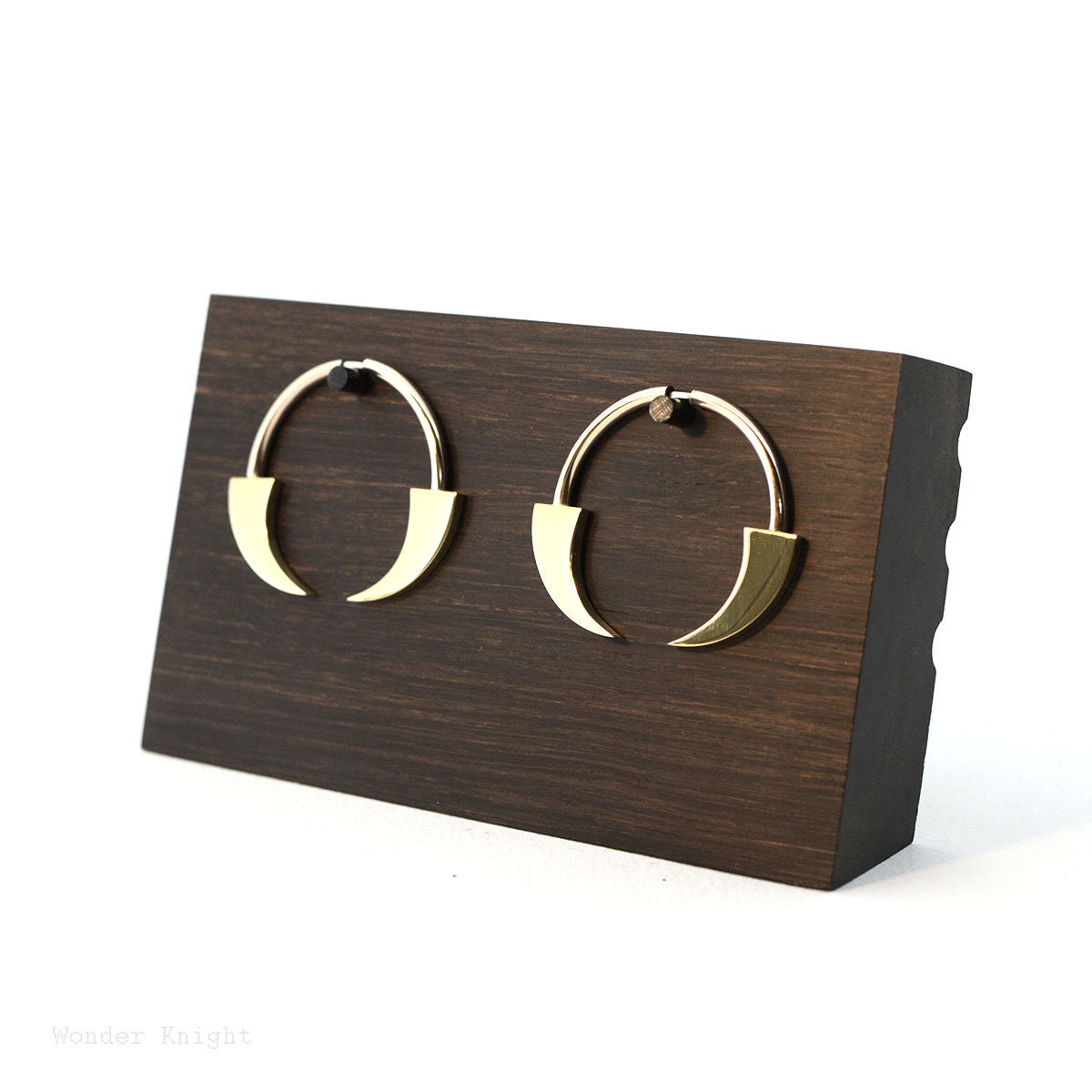 Leia resin hoop earrings hot sale