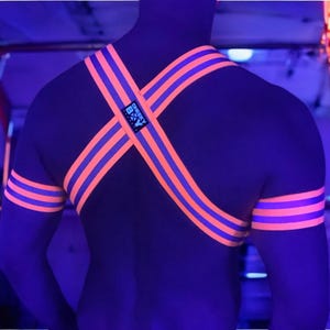 May include: A black harness with orange and purple stripes, worn over the shoulders and arms. The harness has a small tag with the text "Cheeky B&Y". The image is taken in a dark environment with neon lighting.