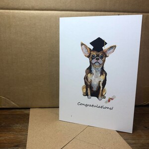 Carte A6 - Chihuahua - Félicitations, carte de remise des diplômes.
