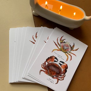 Cartolina A6 Carcinus Maenas e Cancer Pagurus.