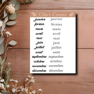 Adesivi 12 mesi dell'anno - Carattere corsivo e script - 1 foglio per Bullet Journal, agenda, fai da te