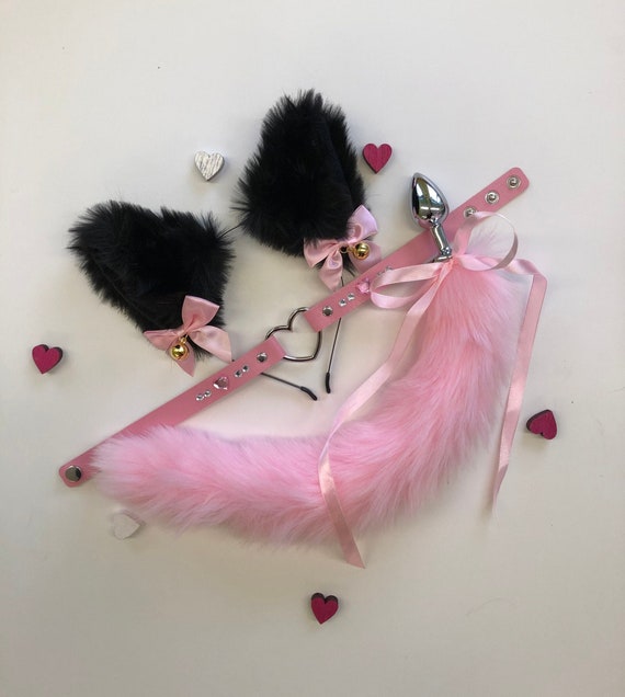 Kitten play gear deals