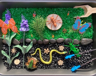 Garden Sensory Kit