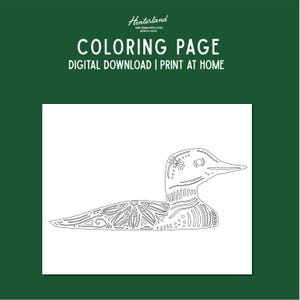 Página para colorir Loon - Impressão desenhada à mão para colorir em casa - Download digital - Tema de natureza nórdica - PDF tamanho carta