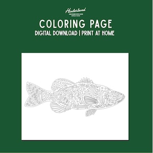 Nordic Fish Coloring Page: Hand-Drawn Nature Theme (PDF Letter Size)