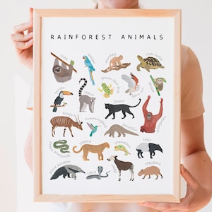Cartel de animales de la selva tropical, cartel educativo, decoración de la pared de la guardería, decoración de la sala de juegos, materiales Montessori, animales de la selva, DESCARGA DIGITAL