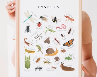 Cartel de insectos educativos, cartel de insectos, decoración del aula de la naturaleza, aprendizaje en la escuela en el hogar, materiales Montessori, arte en la escuela en el hogar, DESCARGA DIGITAL
