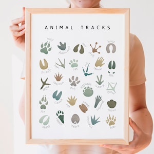 Póster de huellas de animales, Decoración de pared de guardería en tonos tierra, Póster de sala de juegos, Carteles educativos, Decoración de guardería de bosque, DESCARGA DIGITAL